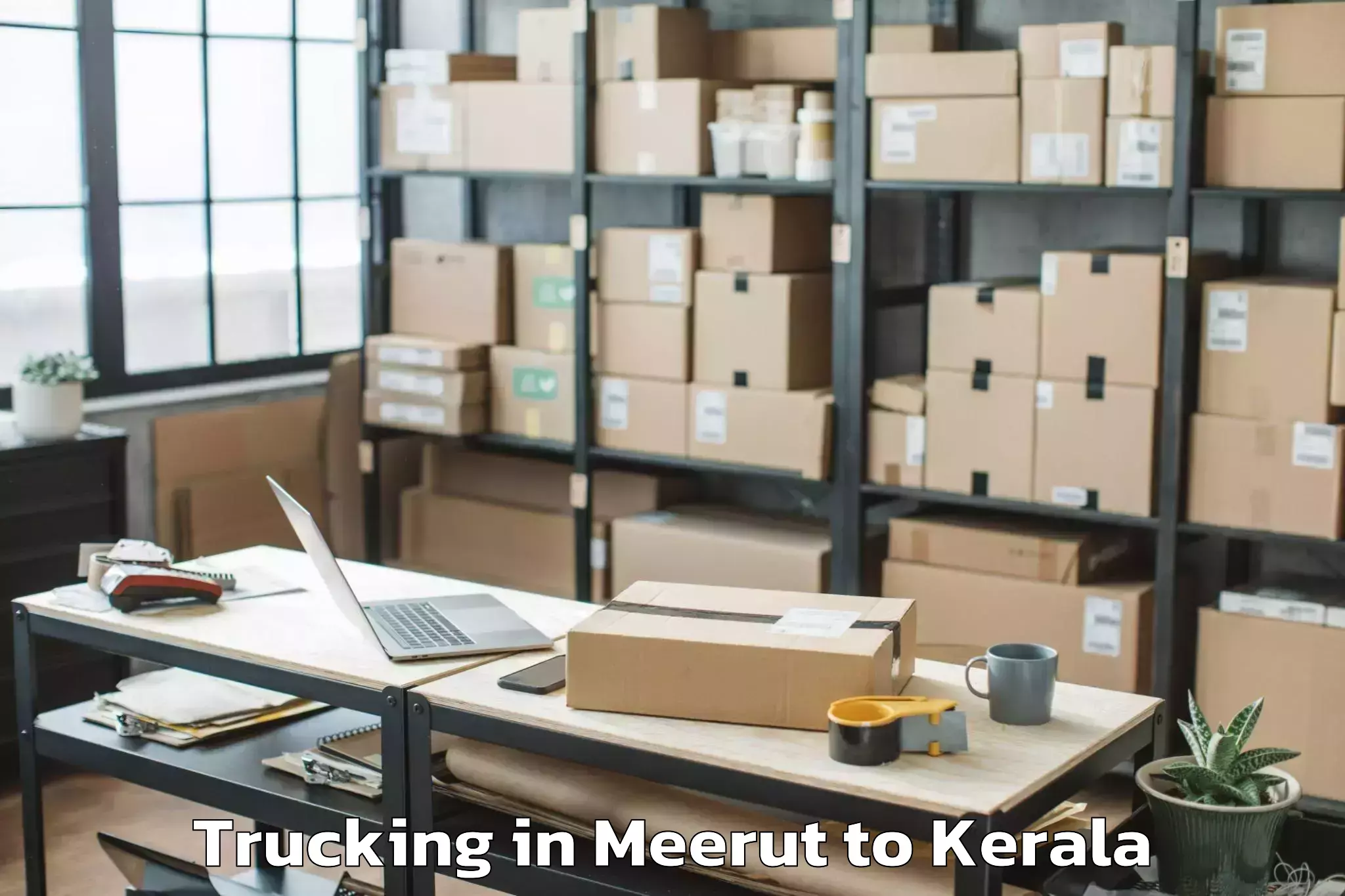 Book Meerut to Naduvannur Trucking Online